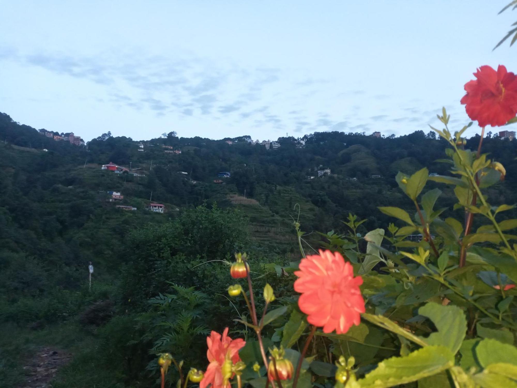 Unique Point Home Stay Нагаркот Экстерьер фото
