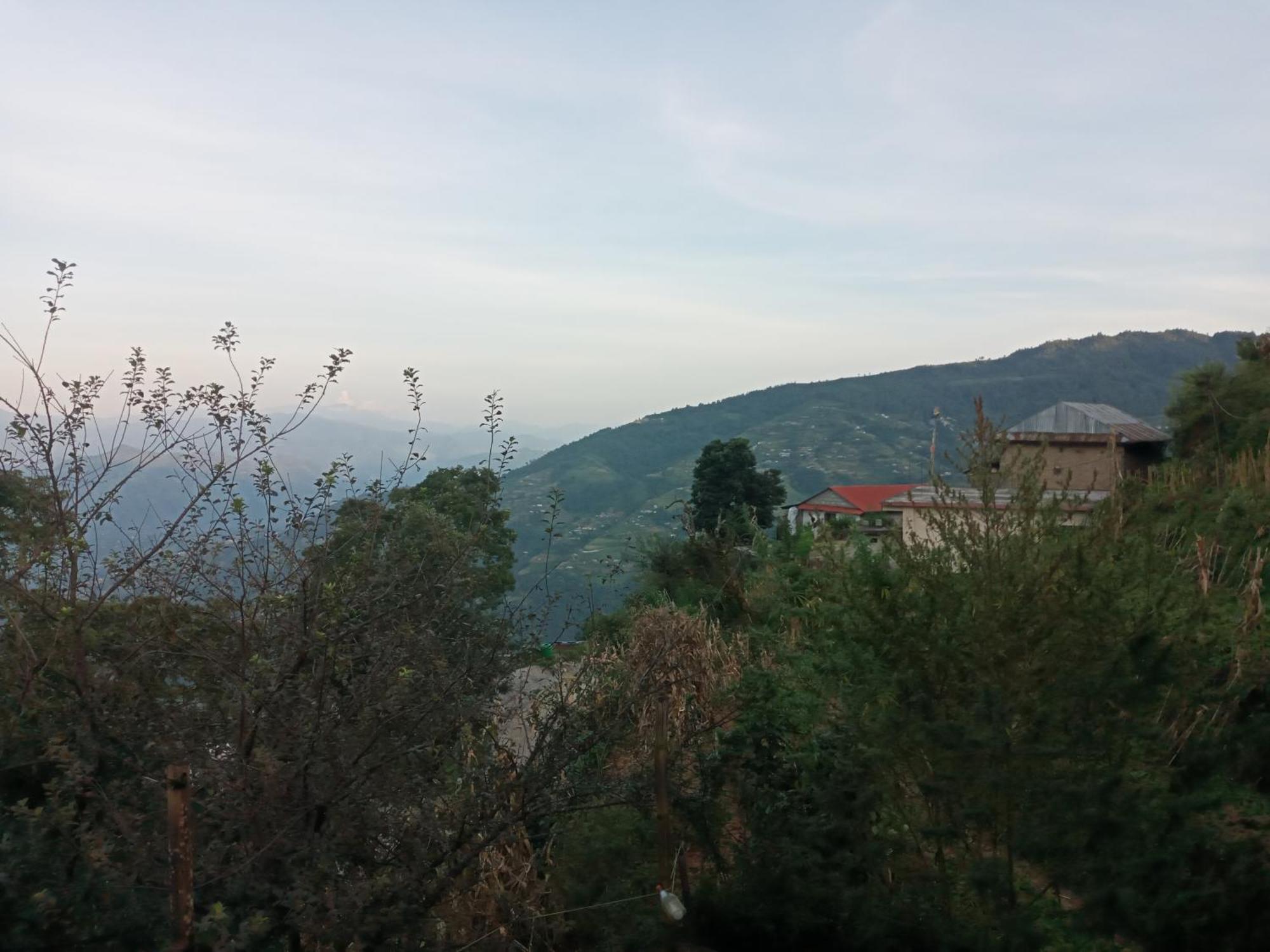 Unique Point Home Stay Нагаркот Экстерьер фото